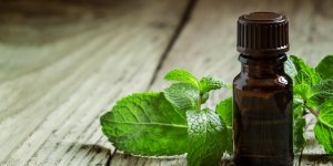 Migraine ophtalmique : la menthe poivree comme remede naturel
