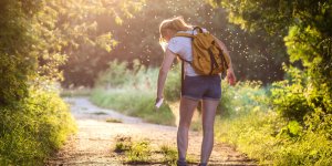 Tiques : les 4 bons reflexes a avoir avant une promenade en foret