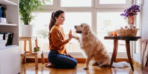 Declin cognitif : avoir un animal de compagnie est bon pour le cerveau 