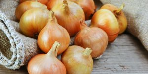 Oignon : 9 indications sante a connaitre !