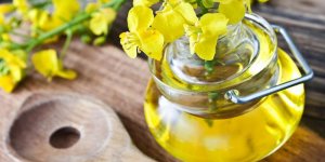 Huile de colza : riche en omega-3