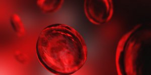 Hypoglycemie : la mesure de l-hemoglobine glyquee