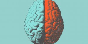 Covid-19 : et si le coronavirus s-attaquait a notre cerveau ?