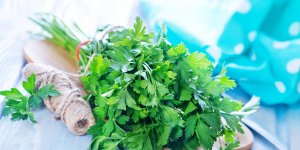 Tisane de persil : les dangers et contre-indications