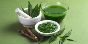 Sante intestinale : 10 plantes a connaitre absolument