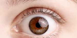 Œil qui saute : 3 causes possibles