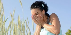 Rhume des foins : le bilan allergique