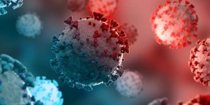 Variant XD : 5 informations a connaitre sur cette mutation du Covid-19