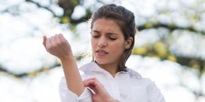 Allergie aux piqures de moustique : la desensibilisation est-elle efficace ?