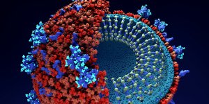 Coronavirus : il infecte et retourne vos propres cellules contre vous !