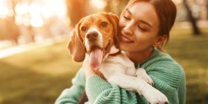 Variole du singe : premier cas d’un chien infecte par l’Homme