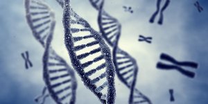 Diabete de type 2 : la predisposition genetique