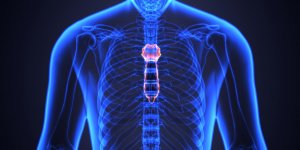 Douleur a la poitrine et au dos : un probleme au sternum ?