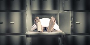 Les 6 etapes de la mort biologique