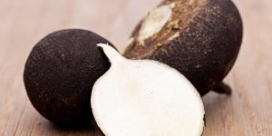Radis noir : une racine qui soigne ! 