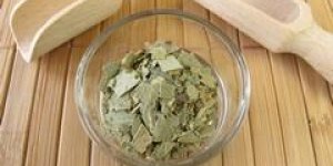 Se soigner avec l-eucalyptus
