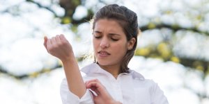 Dengue : les symptomes qui doivent alerter