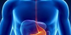 Metastases : quels sont les cancers qui se propagent le plus ?
