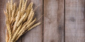 Flatulences apres manger : un signe d-allergie au gluten ?