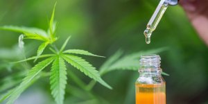 Huile de CBD et huiles essentielles : quels sont leurs bienfaits ?