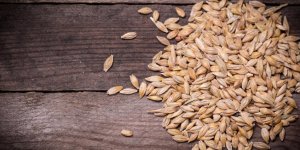 Cette cereale peut faire baisser le mauvais cholesterol
