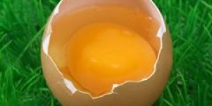 Coeur : le cholesterol accuse a tort ?