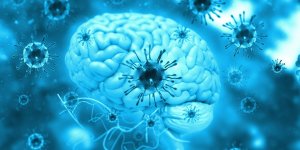 Meningite : vaccin, contagion… Ce qu’on sait sur le nouveau variant