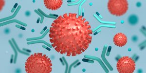 J-ai deja eu la Covid, contre quels variants suis-je immunise ? 