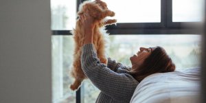 Maladie des griffes de chat : des complications graves