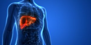 Cancer du foie : l’hepatite C peut le provoquer 