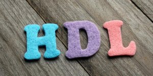 Cholesterol HDL : quelle est sa fonction ?