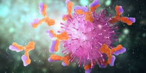 Covid-19 : des malades dotes d’une immunite “surhumaine”