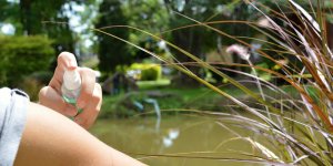 Piqures de moustiques : le top des astuces pour que ca ne gratte plus !