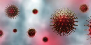 Grippe aviaire H3N8 : un premier cas detecte chez l’etre humain