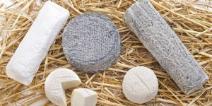 Fromage de chevre fermente : la definition