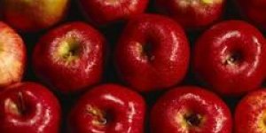 Pesticides : que risque-t-on vraiment ?