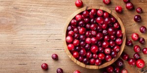 Infection urinaire : 5 plantes qui soulagent naturellement