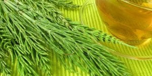 Douleur articulaire : la tisane de prele