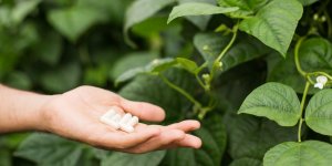 BPCO : le traitement homeopathique peut-il aider ?