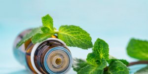 10 astuces naturelles contre les nausees