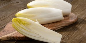 Endive : une incontournable dans votre assiette !