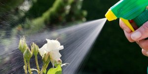 Herbicides : les dangers auxquels vous vous exposez