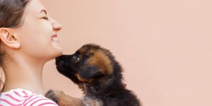 Votre chiot peut vous transmettre une rare bacterie antibioresistante