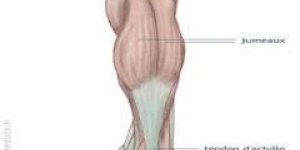 Entorse de la cheville - une blessure frequente