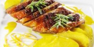 Magrets de canard au Porto