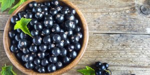3 fruits riches en calcium