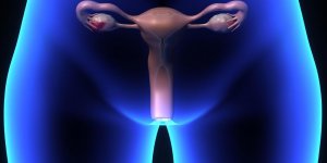 La profondeur du vagin : tout savoir sur cet organe mysterieux