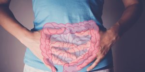 Atherosclerose : une carence en fibres aggrave le risque