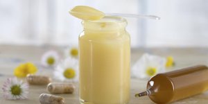 Bienfaits de la gelee royale : un remede contre la fatigue