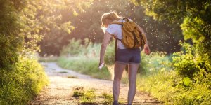 Piqures d-insectes : comment les reconnaitre pour mieux les soigner ? 